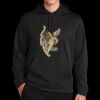 Sport Wick ® Fleece Hooded Pullover Thumbnail